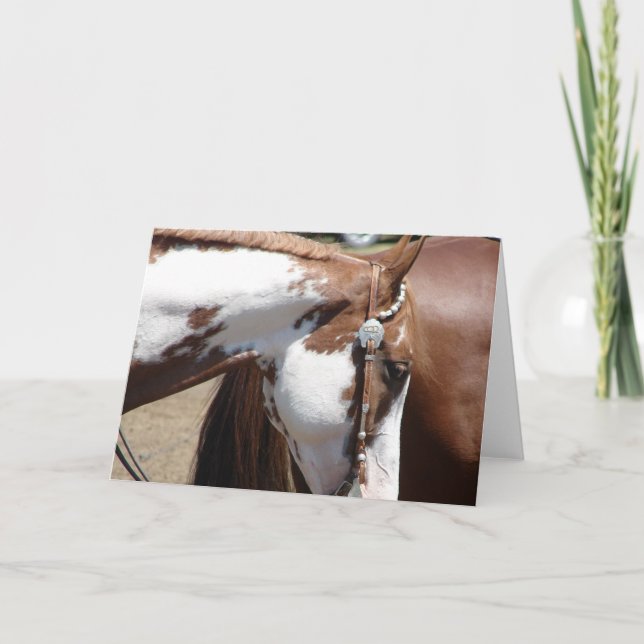 Carte Cheval occidental Pinto (Devant)