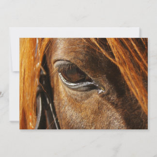 Carte Cheval oeil