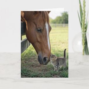 Carte Cheval qui pense à vous avec un chaton tabby