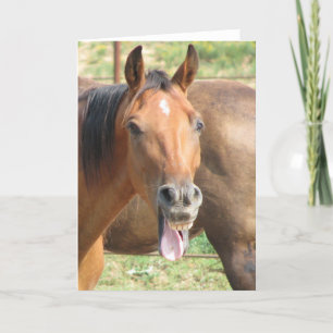 Carte Cheval riant