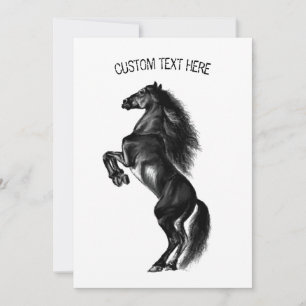 Carte Cheval sauvage noir dressé - Dessin noir et blanc