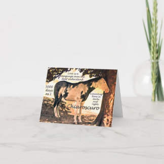 Carte Cheval Sourd Pinto Chiaro