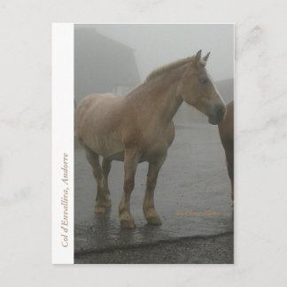 Carte cheval sous la pluie
