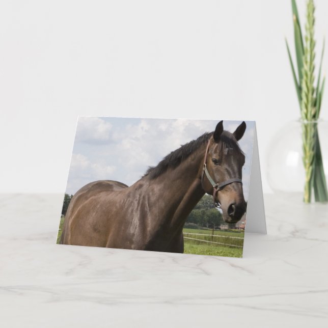 Carte Cheval Thoroughbred (Devant)