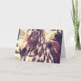 Carte Cheval vintage d'exposition d'Appaloosa,