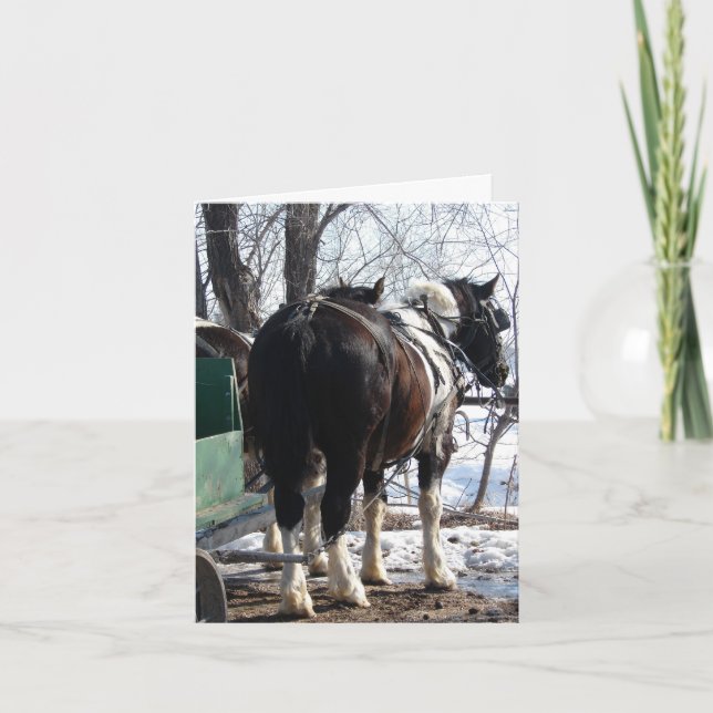 Carte Chevaux à bascule Pinto (Devant)