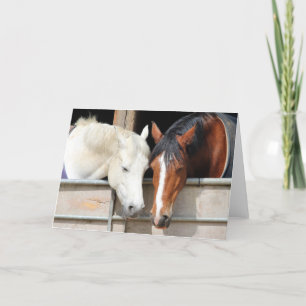 Carte Chevaux aimés