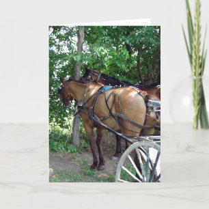 Carte Chevaux amish