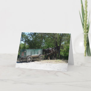 Carte Chevaux Amish