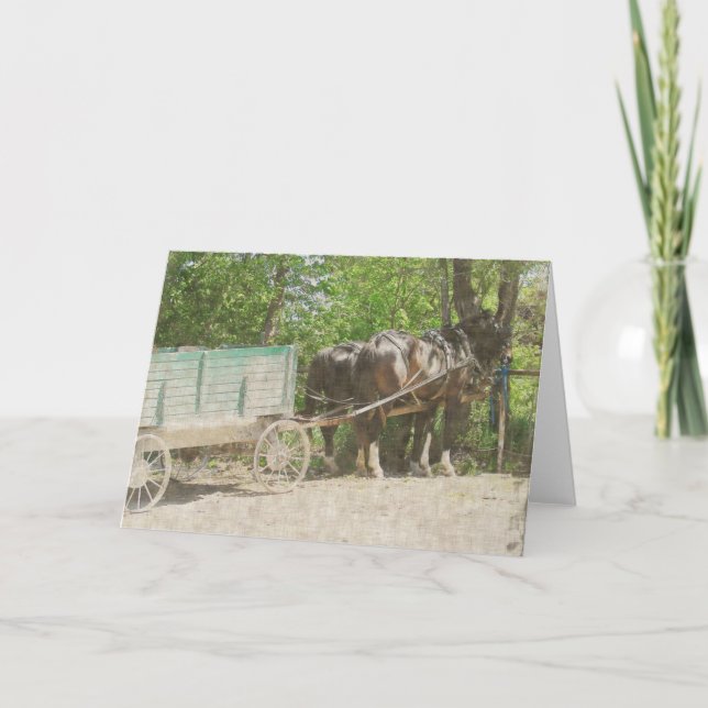 Carte Chevaux Amish et Wagon (Devant)