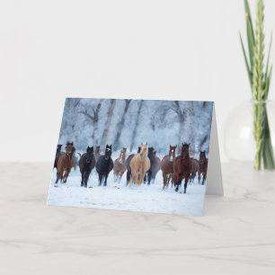 Carte Chevaux dans le froid