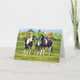 Carte Chevaux De Peinture De Pinto Noir En Pâturage Été