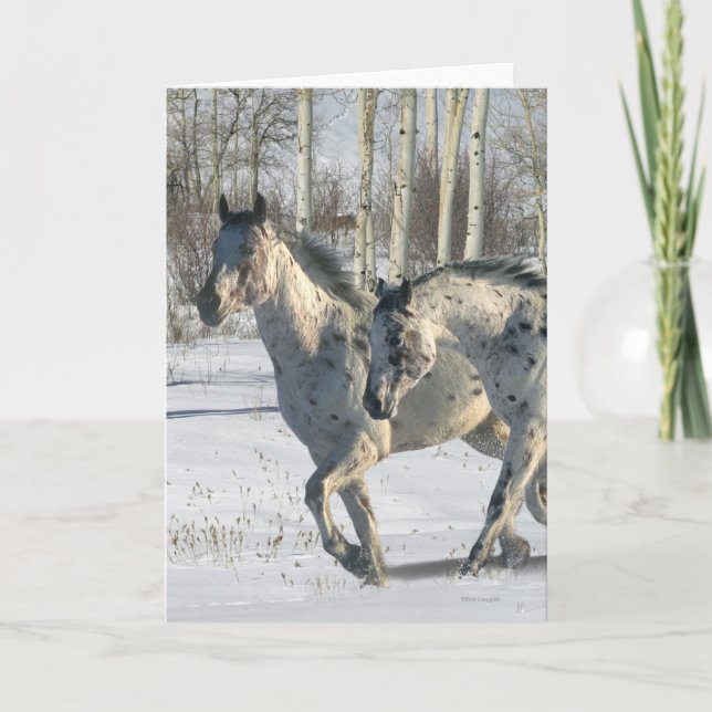 Carte Chevaux d'imaginaire : Le pays des merveilles (Devant)