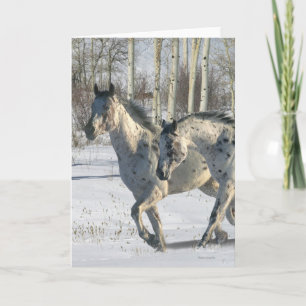 Carte Chevaux d'imaginaire : Le pays des merveilles