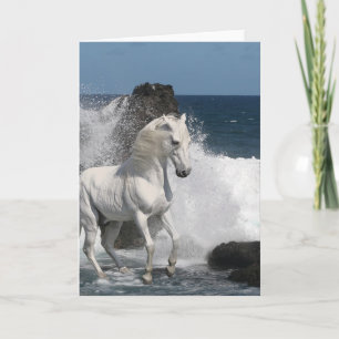 Carte Chevaux d'imaginaire : Mers du sud