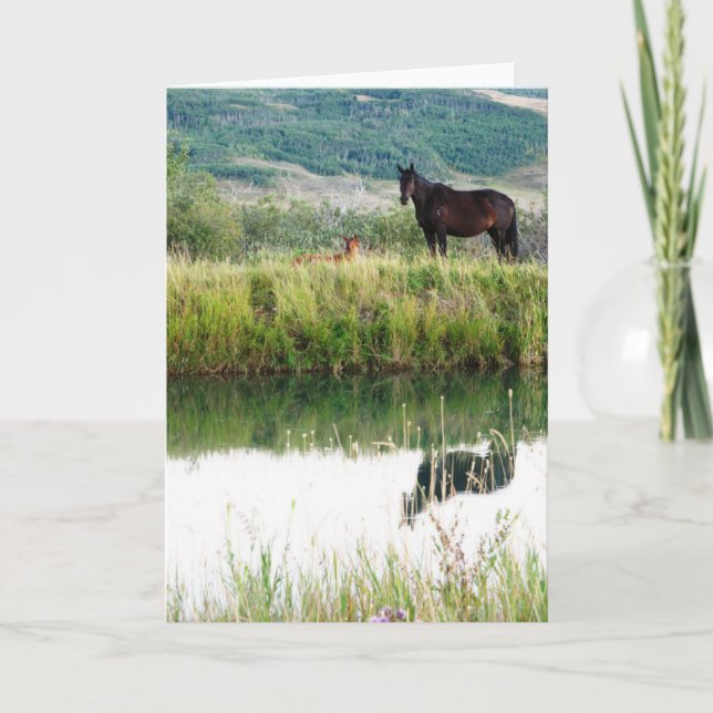 Carte Chevaux du Montana (Devant)