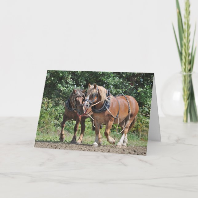 Carte Chevaux en harnais anniversaire (Devant)
