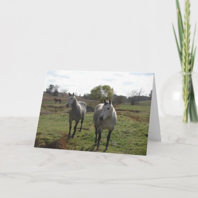 Carte Chevaux gris (Devant)