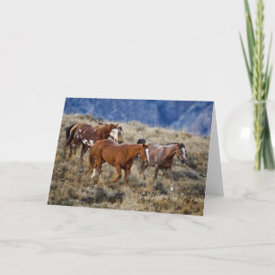 Carte Chevaux Parcourir les collines