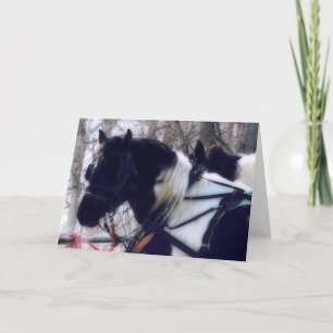 Carte Chevaux Pinto Brouillon, Fête des pères