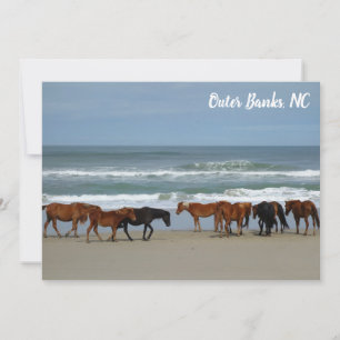 Carte Chevaux sauvages Banques extérieures OBX Corolla N