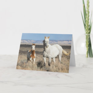 Carte Chevaux sauvages chez eux dans le bassin de Sandwa