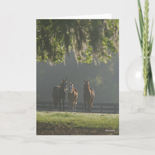 Carte Chevaux trois quarts debout dans la fosse