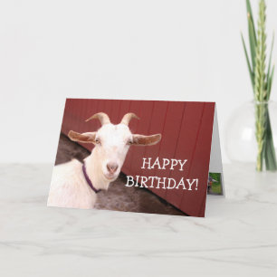 Carte Chèvre douce nounou anniversaire
