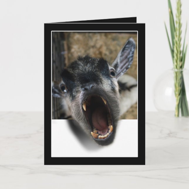 Carte Chèvre hurle pour sortir (Devant)