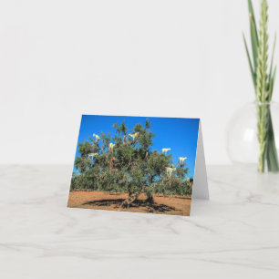 Carte Chèvres amusantes dans les arbres