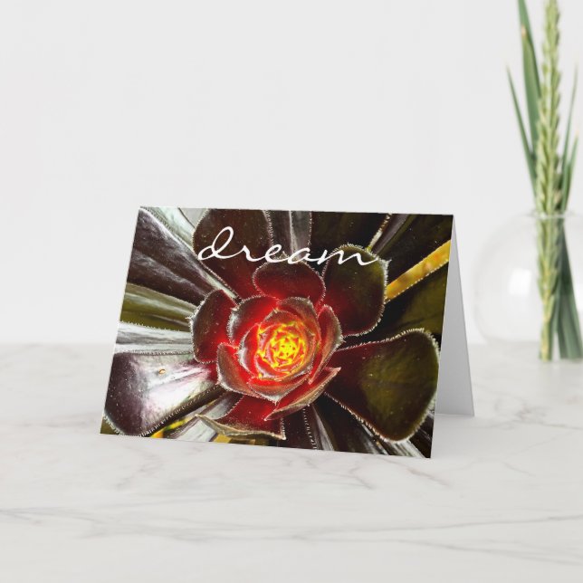 Carte Chic Black Orange Cactus Succulent Photo "Dream" (Devant)