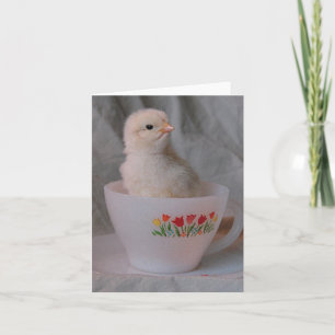 Carte Chick in A Vintage Teacup Toute Ocassion Art numér