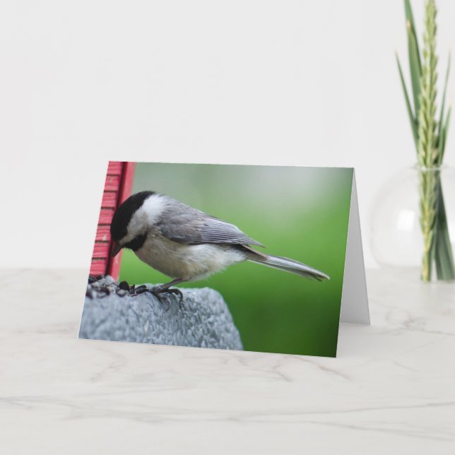 Carte Chickadee (Devant)