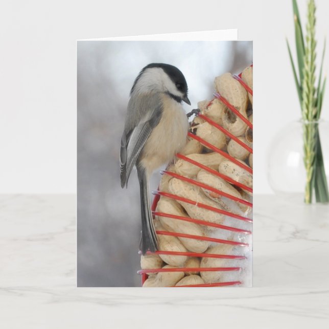Carte Chickadee d'hiver (Devant)