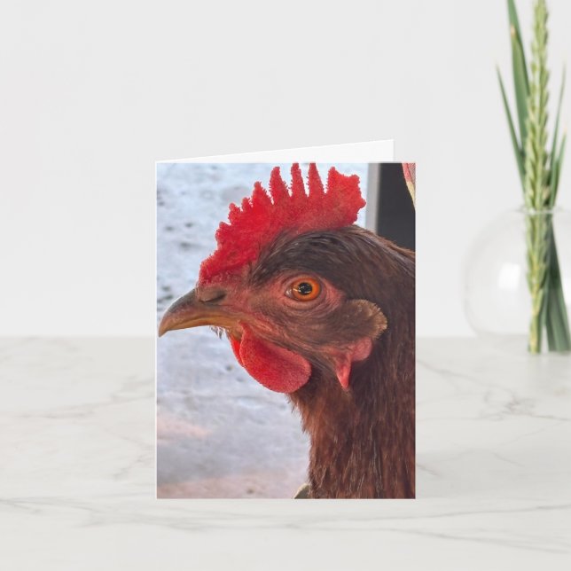 Carte Chicken Head Close-Up Blank Inside (Devant)