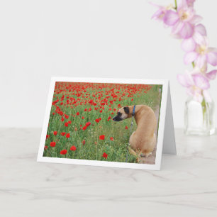 Carte Chien à la bouche noire et fleurs de pavot
