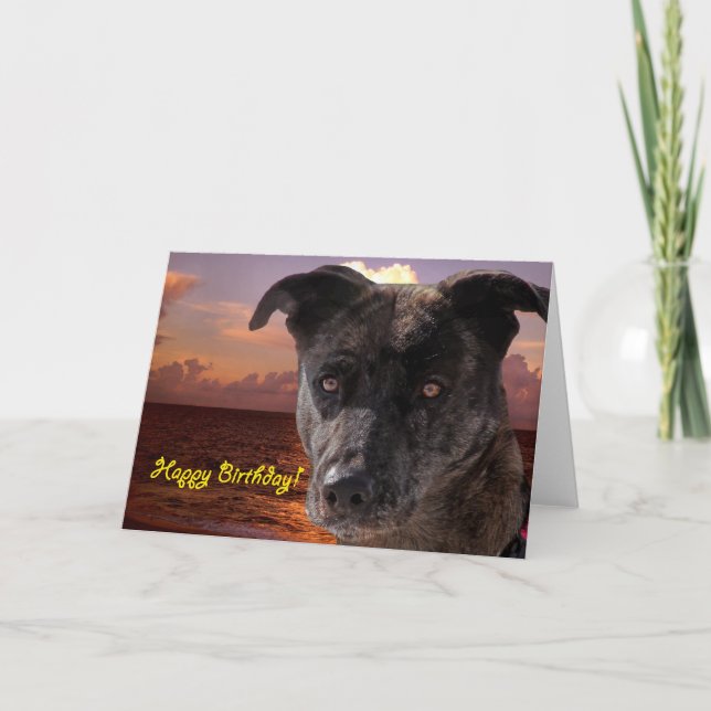 Carte Chien à la plage, Joyeux anniversaire (Devant)