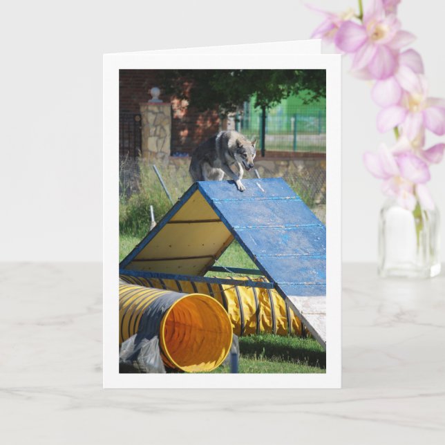 Carte Chien à l'école de dressage (Orchidée)