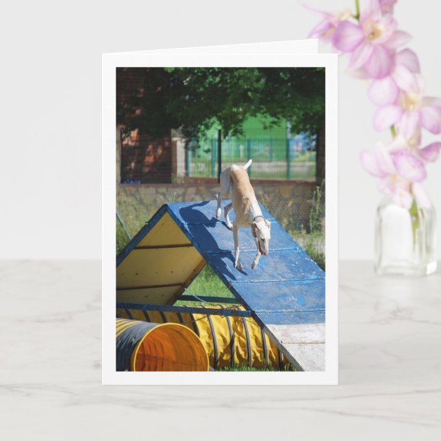 Carte Chien à l'école de formation (Orchidée)