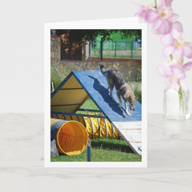 Carte Chien à l'école de formation (Orchidée)