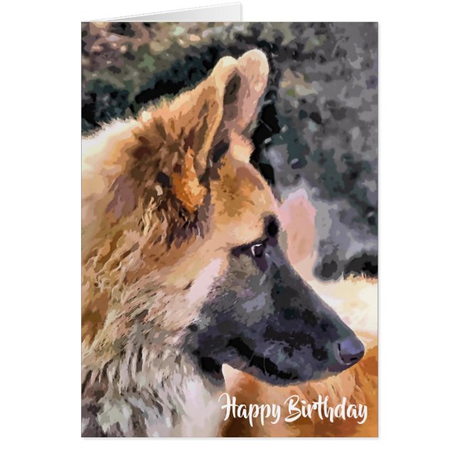 Carte CHIEN ALLEMANDE SHEPHERD (Devant)