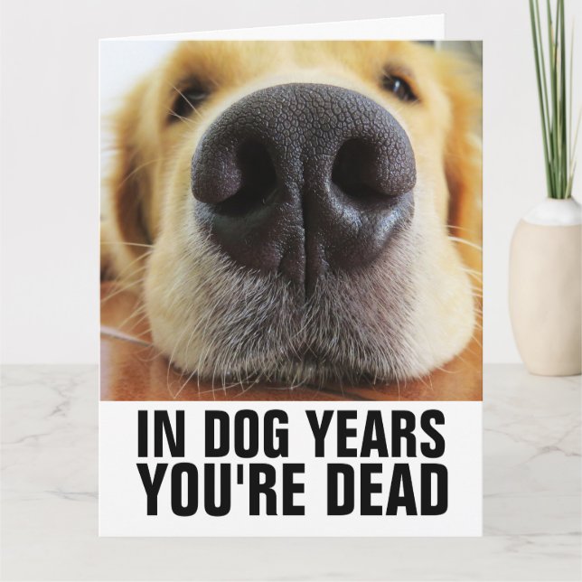 Carte CHIEN ANNÉES VOTRE CHIEN EST MORT BIRTHDAY Greetin (Devant)