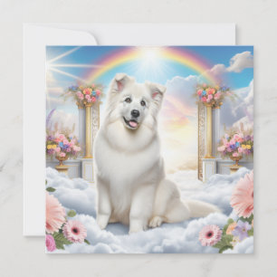 Carte Chien blanc sur Rainbow Bridge dans l'art du ciel