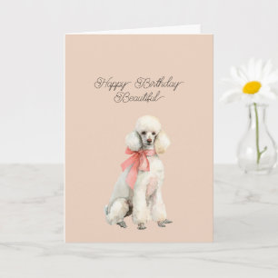 Carte Chien Caniche Blanc Bonjour Belle Anniversaire