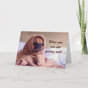 Carte Chien Carlin Malade, Sympathie, Humour.