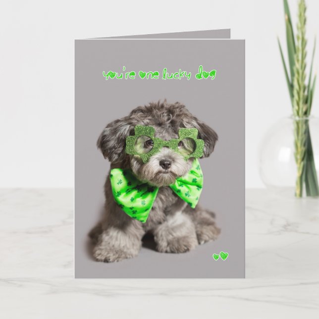 Carte Chien chanceux de Jour de la Saint Patrick (Devant)