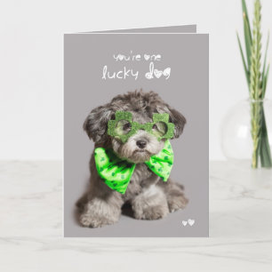 Carte Chien chanceux de Jour de la Saint Patrick