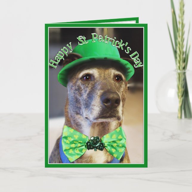 Carte Chien chanceux de la Saint Patrick (Devant)