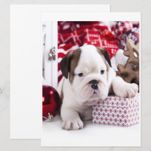 Carte Chien-chien anglais mignon Noël drôle