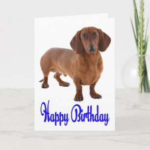 Carte Chien Chien Chien Chien Chien Chien Chien Bl